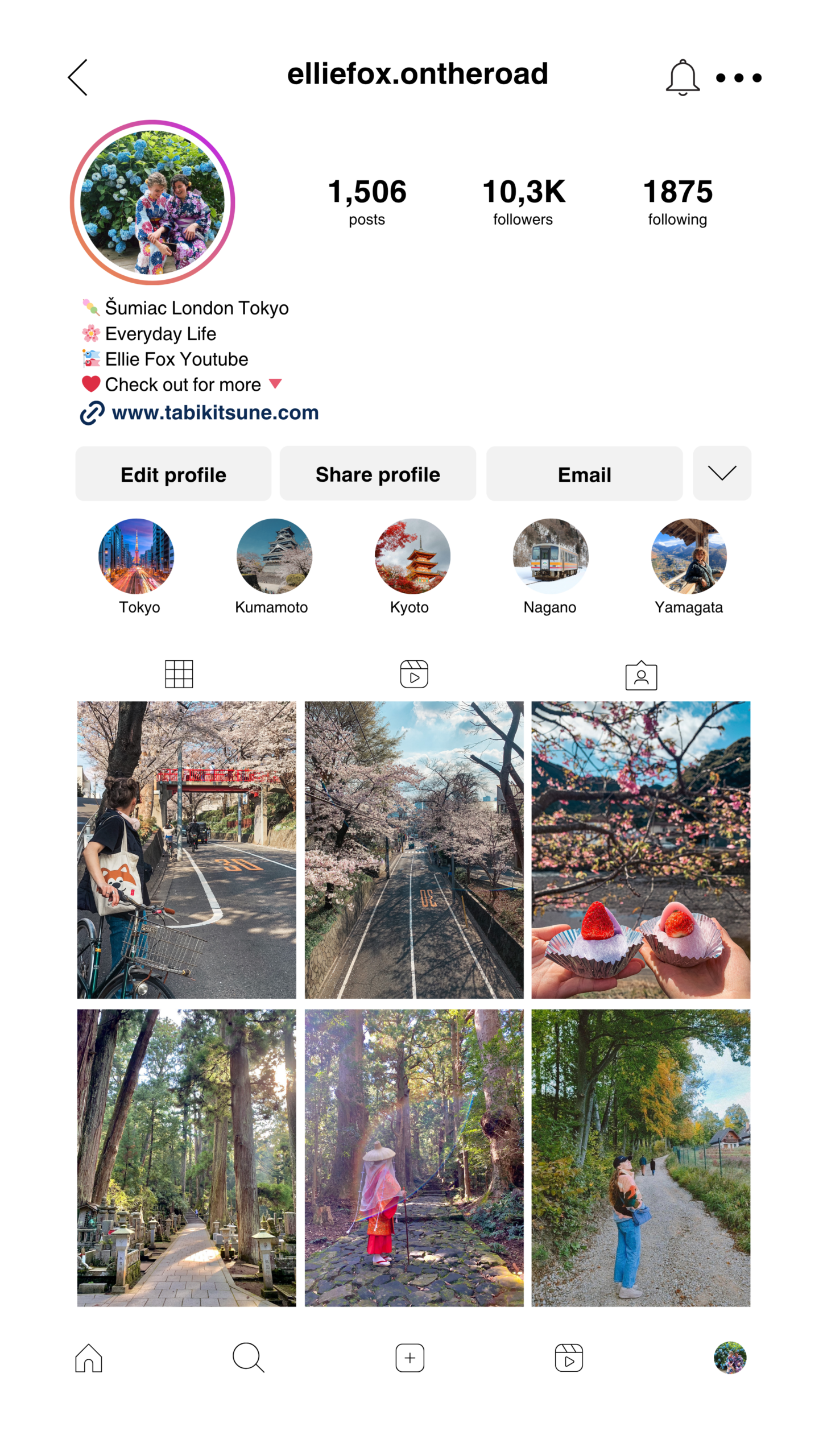historia instagram feed perfil publicaciones fotos moderno estético verde marrón