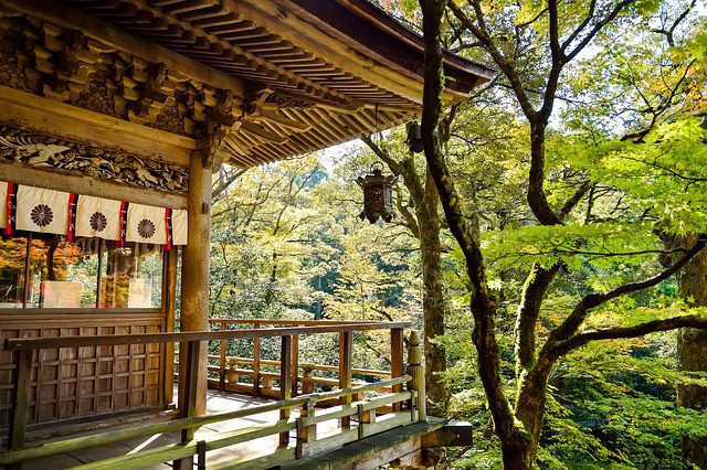 japan, landscape, natural, outdoor, japanese landscape, k, green, japanese culture, temple, tourist destination, wood, autumn, japan, japan, japan, japan, japan