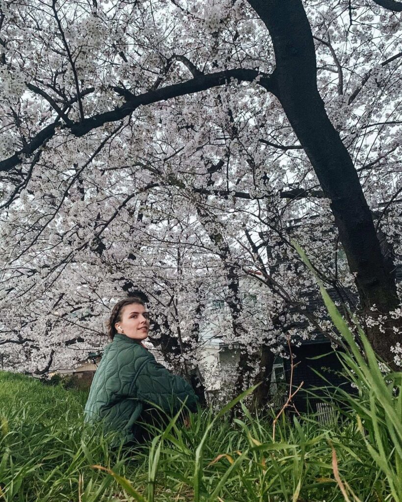 girl sitting under the sakura tree