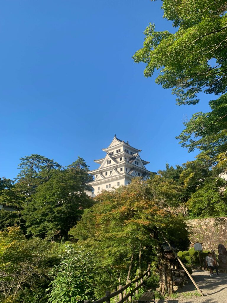 Gujo Hachiman castle overlooking the town